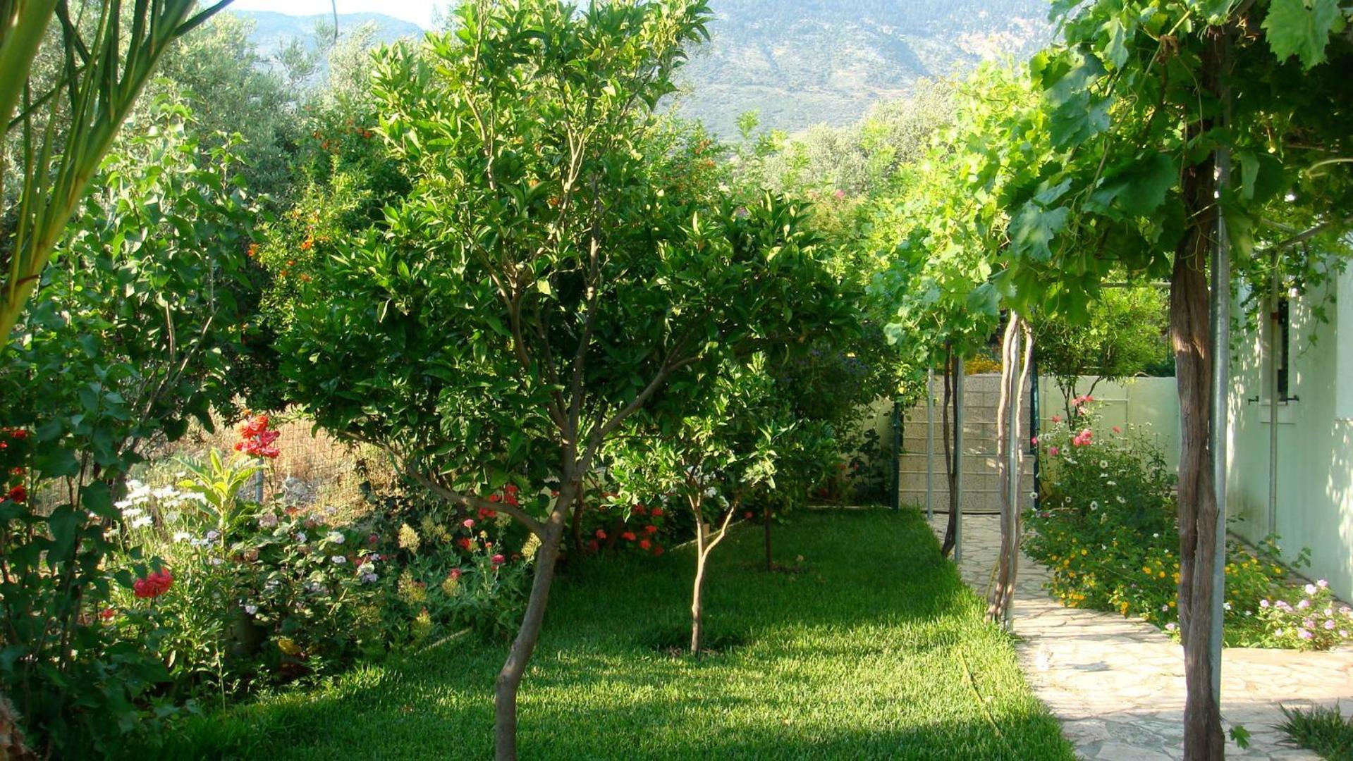 Galini Apartments Trapezaki (Kefalonia) Exterior foto