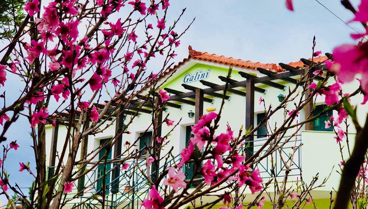Galini Apartments Trapezaki (Kefalonia) Exterior foto