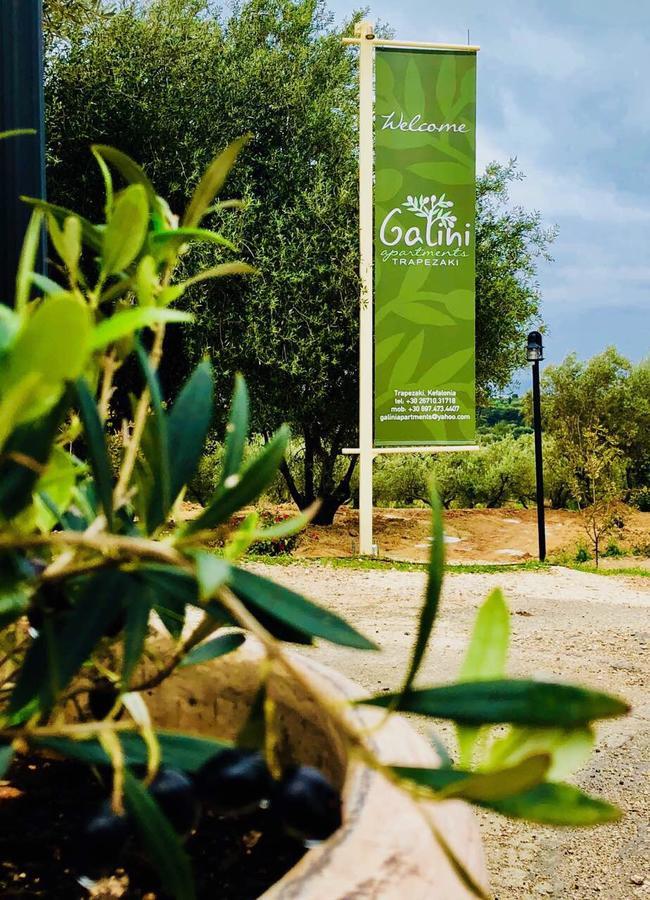 Galini Apartments Trapezaki (Kefalonia) Exterior foto