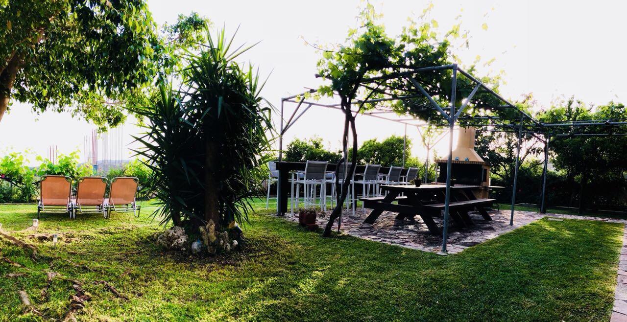 Galini Apartments Trapezaki (Kefalonia) Exterior foto